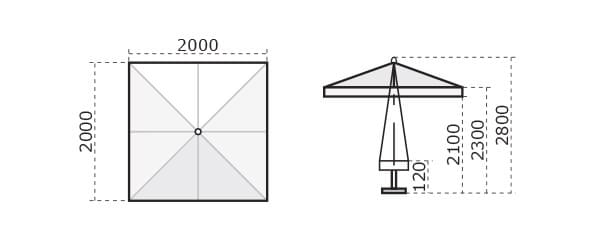 C2020 PAS