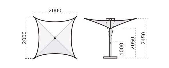 C2020VSP