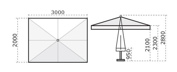 C2030 PAS