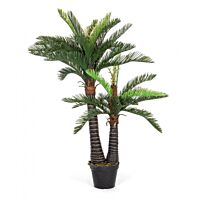 BIZZOTTO PIANTA PALMA C-VASO 36FOGLIE 2TR H150