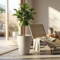 VASO GRANDE ANEMONE  VA801022-BIAN