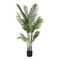 BIZZOTTO PIANTA KENZIA C-VASO 15FOGLIE H140