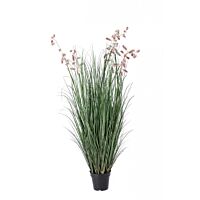 BIZZOTTO PIANTA GREVILLEA ROSA C-VASO X9F H150