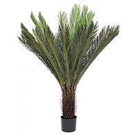 BIZZOTTO PIANTA PALMA CYCAS C-VASO 28FOGLIE H120