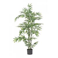 BIZZOTTO PIANTA BAMBOO C-VASO H130