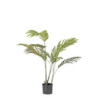 BIZZOTTO PIANTA KENZIA C-VASO 9FOGLIE H80