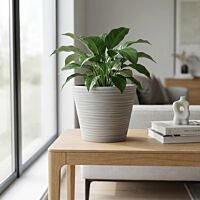 VASO MEDIO CAMELIA