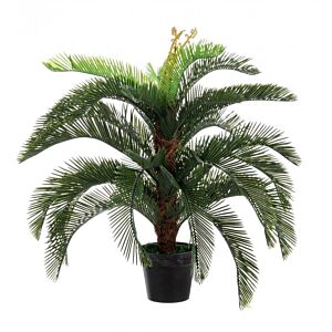 BIZZOTTO PIANTA PALMA CYCAS C-VASO 30FOGLIE H100
