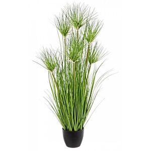 BIZZOTTO PIANTA DESERTO VERDE C-VASO X7F H90