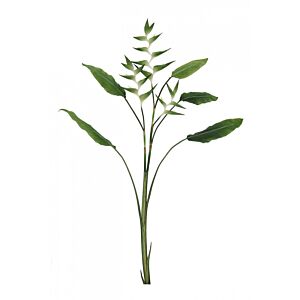 BIZZOTTO ELICONIA JESSYE X3F+5FOGLIE VERDE H172