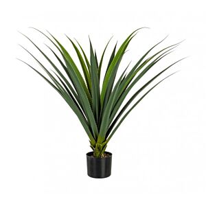 BIZZOTTO PIANTA RUSCACEAE C-VASO 28FOGLIE H90CM