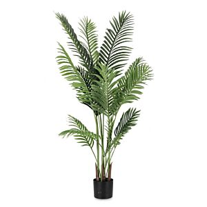 BIZZOTTO PIANTA KENZIA C-VASO 15FOGLIE H140