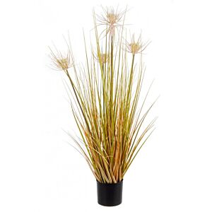 BIZZOTTO PIANTA DESERTO PAGLIA C-VASO X4F H90