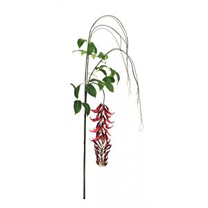 BIZZOTTO MACUNA KAYLIN ROSSO H210CM