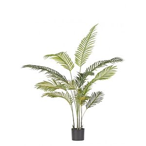 BIZZOTTO PIANTA KENZIA C-VASO 14FOGLIE H120