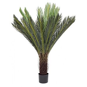 BIZZOTTO PIANTA PALMA CYCAS C-VASO 28FOGLIE H120