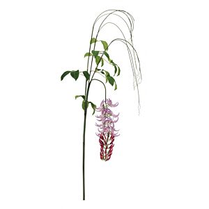 BIZZOTTO MACUNA KAYLIN VIOLA H210CM