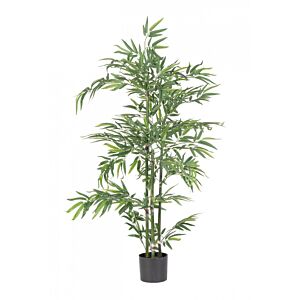 BIZZOTTO PIANTA BAMBOO C-VASO H130