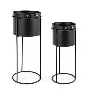 BIZZOTTO SET2 P.PIANTA ZEINA