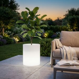VASO LUMINOSO DELPHINUS 50 h CON LED MULTICOLOR E BATTERIA SOLARE