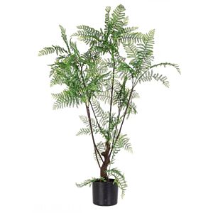 BIZZOTTO PIANTA FELCE C-VASO 75FOGLIE H108