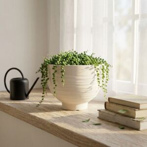 VASO MEDIO NARCISO