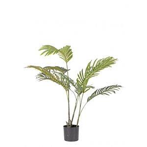BIZZOTTO PIANTA KENZIA C-VASO 9FOGLIE H80