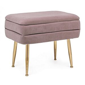 BIZZOTTO PANCA SINGOLA CONT. PAVLINA MAUVE