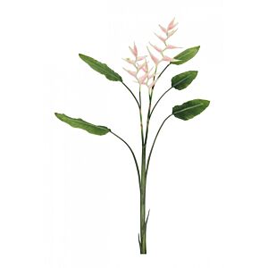 BIZZOTTO ELICONIA JESSYE X3F+5FOGLIE ROSA H172