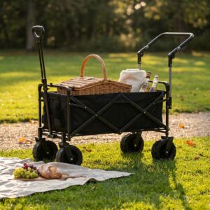 CARRELLO ARTIC