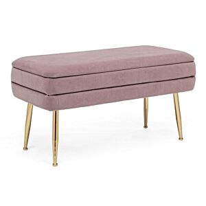 BIZZOTTO PANCA CONT. PAVLINA MAUVE