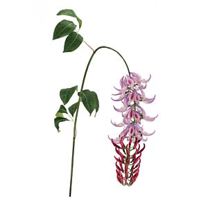BIZZOTTO MACUNA KAYLIN VIOLA H142CM