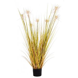 BIZZOTTO PIANTA DESERTO PAGLIA C-VASO X7F H120