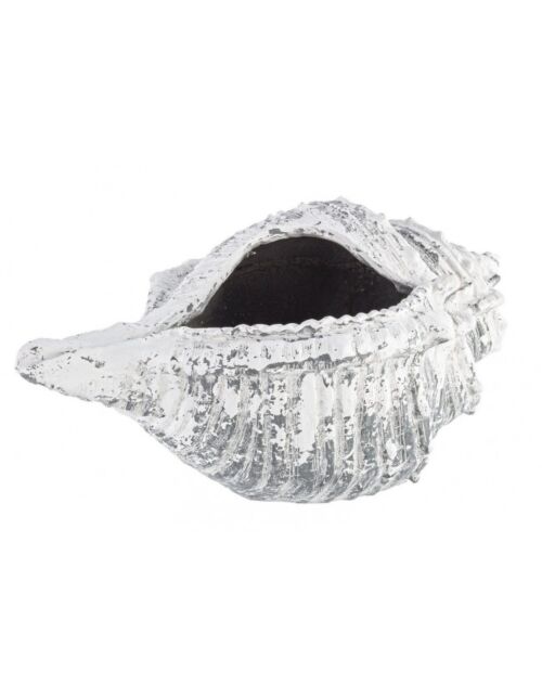 BIZZOTTO VASO CONCHIGLIA MAGNESIA 68X38