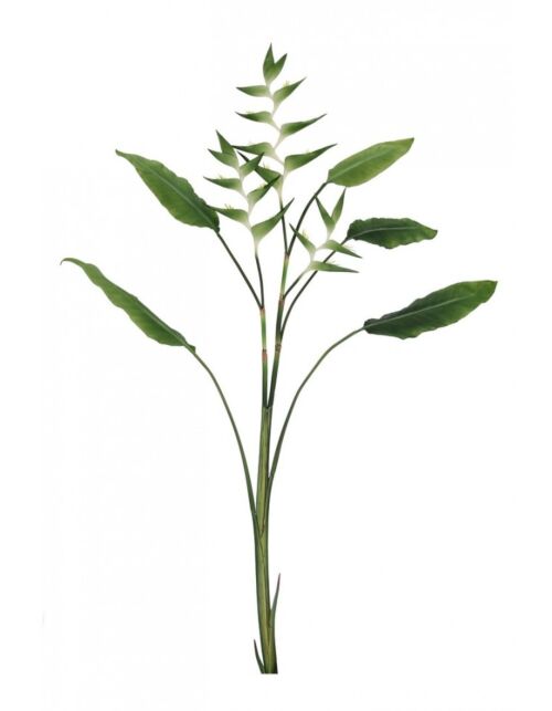 BIZZOTTO ELICONIA JESSYE X3F+5FOGLIE VERDE H172