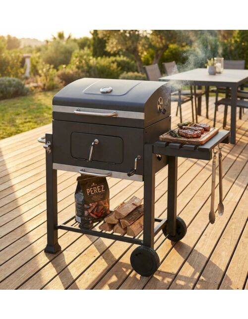 BARBECUE A CARBONELLA AUSTIN