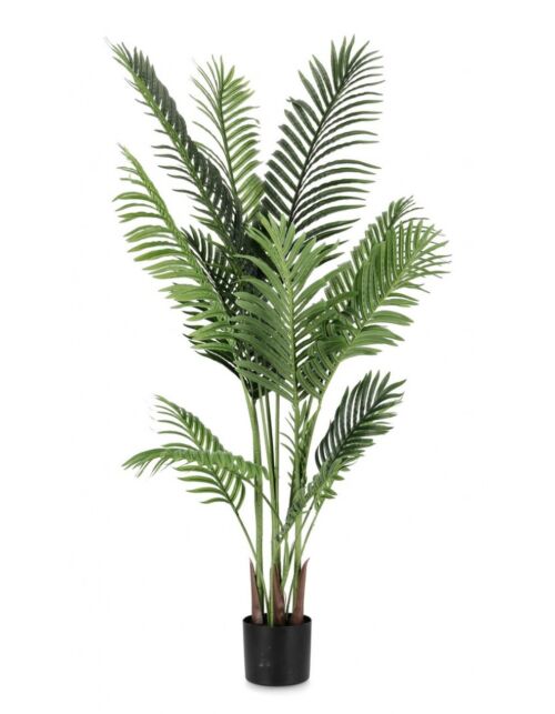 BIZZOTTO PIANTA KENZIA C-VASO 15FOGLIE H140