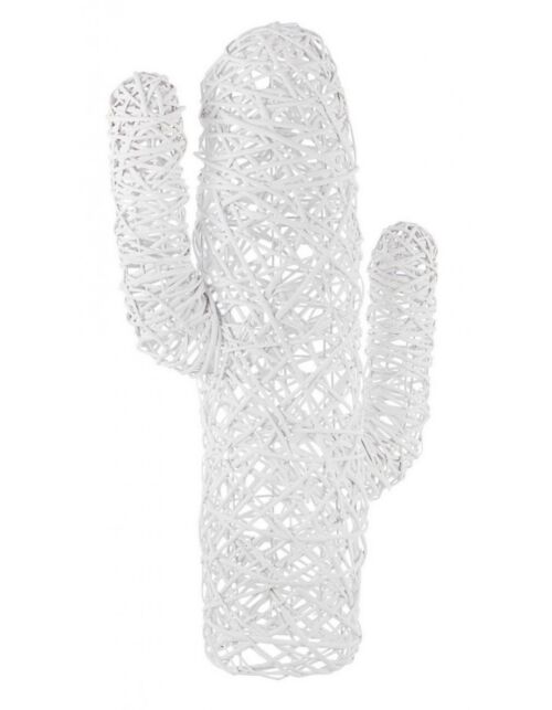 BIZZOTTO CACTUS MEXICO BIANCO H88