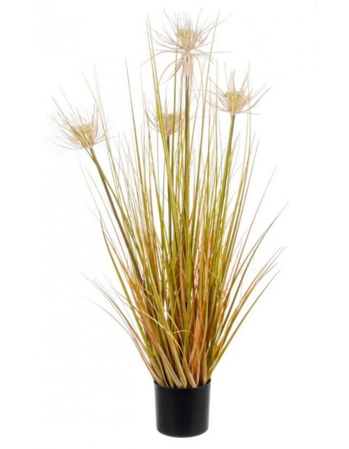 BIZZOTTO PIANTA DESERTO PAGLIA C-VASO X4F H90