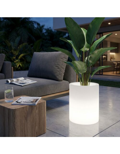 VASO LUMINOSO DELPHINUS 50 h