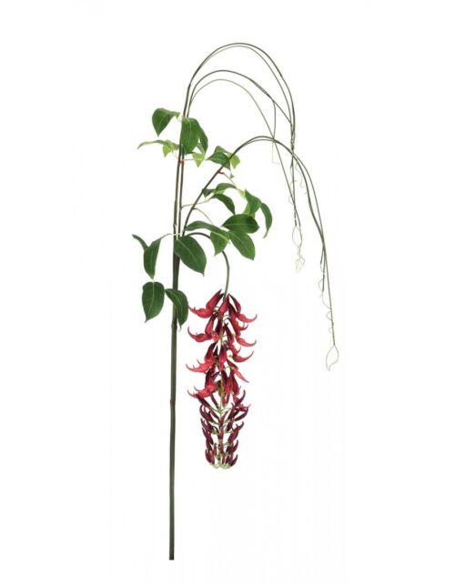 BIZZOTTO MACUNA KAYLIN ROSSO H210CM