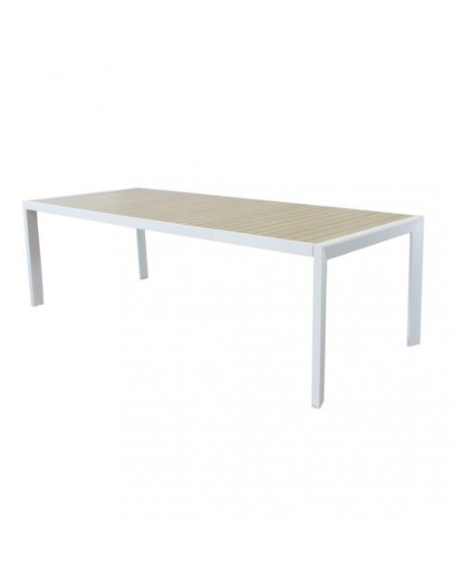 TAVOLO DETROIT ALLUNGABILE 190/250 X 100