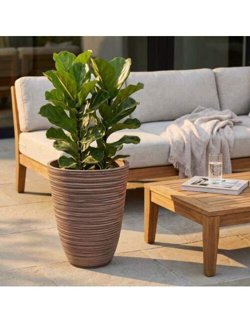 VASO GRANDE ANEMONE
