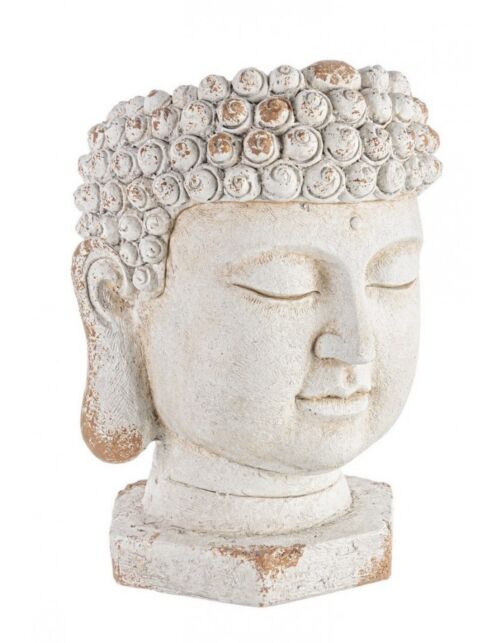 BIZZOTTO VASO TESTA BUDDHA TO MAGNESIA D35