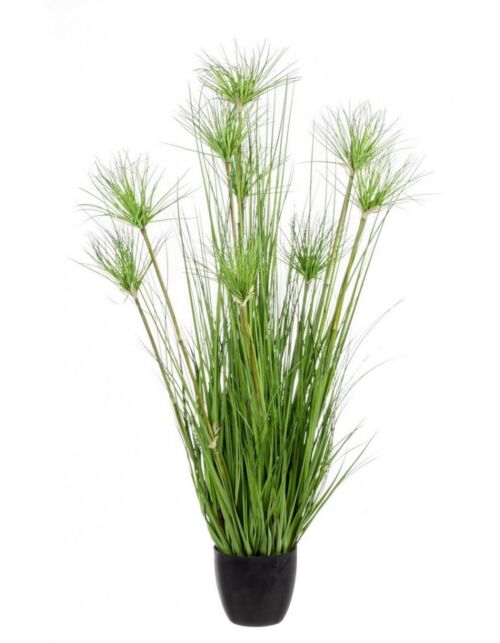 BIZZOTTO PIANTA DESERTO VERDE C-VASO X9F H120