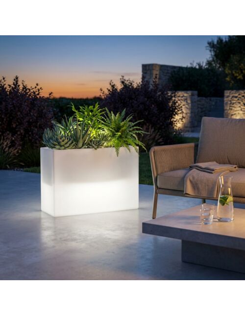 FIORIERA SCULPTOR  50 h