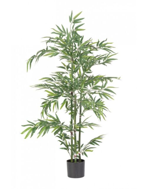 BIZZOTTO PIANTA BAMBOO C-VASO H130
