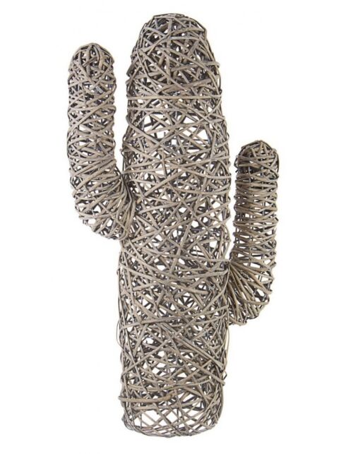 BIZZOTTO CACTUS MEXICO GRIGIO ANTICATO H88