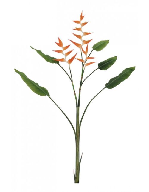 BIZZOTTO ELICONIA JESSYE X3F+5FOGLIE ARANCIO H172