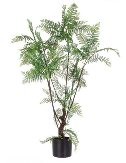 BIZZOTTO PIANTA FELCE C-VASO 75FOGLIE H108